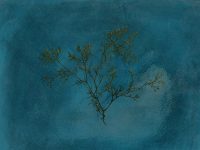 A piece of artwork features a plant painted over a rich blue background.