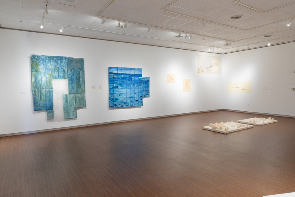 there is a room with a lot of paintings on the wall and a wooden floor